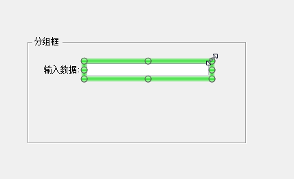 調(diào)整BarTender中的數(shù)據(jù)輸入表單中的對(duì)象大小